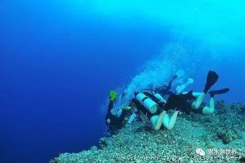 盛亚峰辞别中国太保 现任申能财险法定代表人