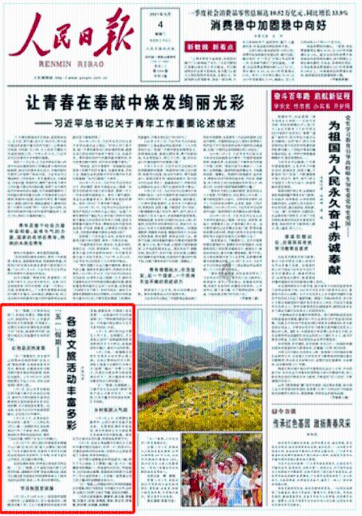 4个月宝宝便便发绿游戏画面
